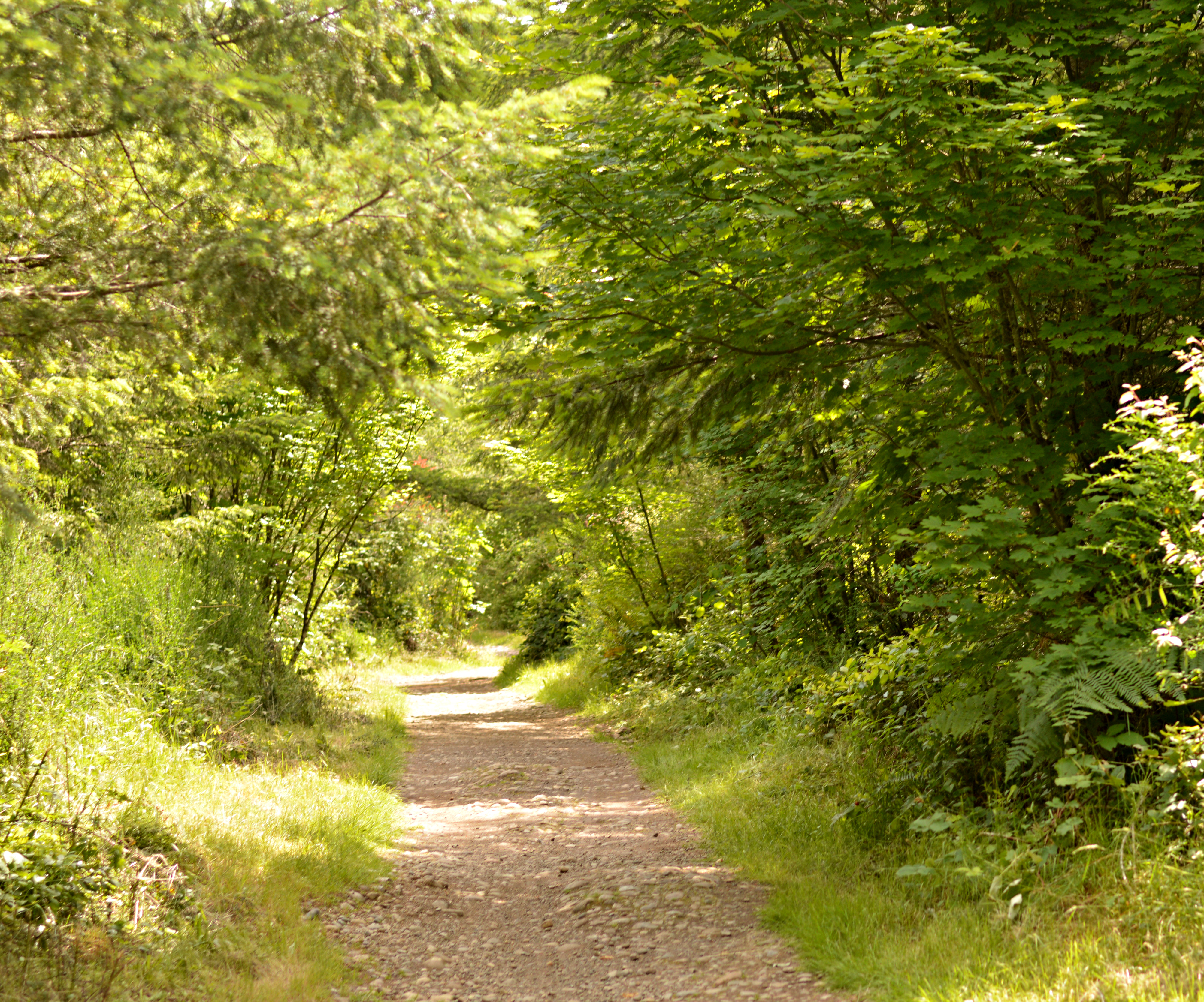 black diamond bike trail