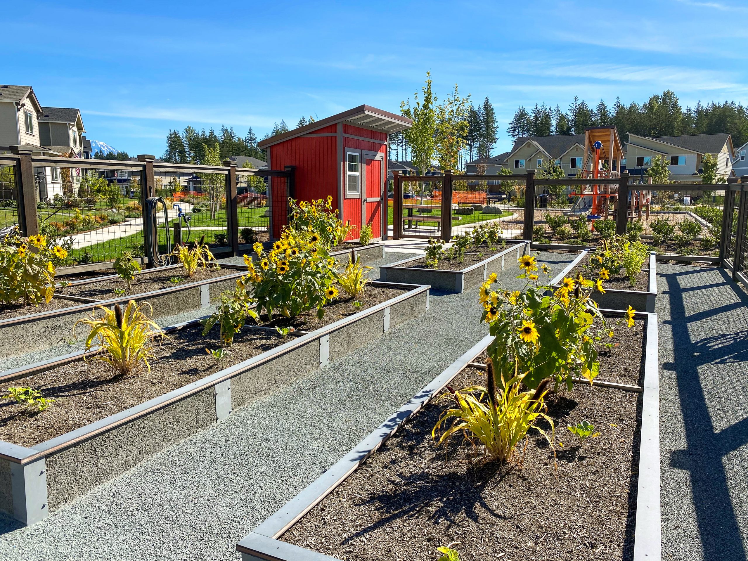 Ten Trails at Black Diamond New Build Homes Homes for Sale King County