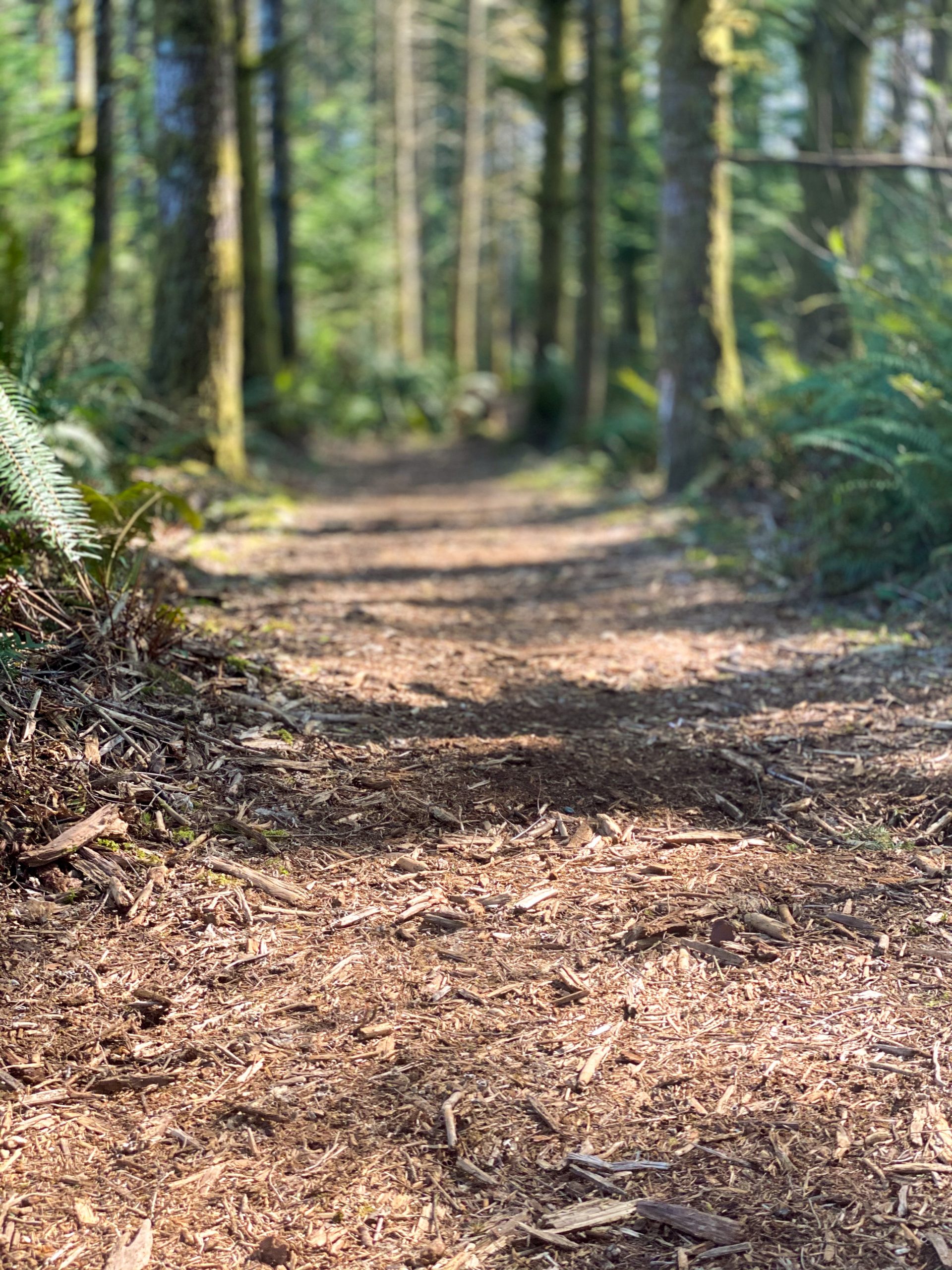 Ten Trails at Black Diamond New Build Homes Homes for Sale King County